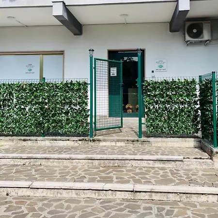 Dreams Guest house *